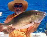 Snapper Fillet 10-12 oz