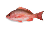 Snapper Fillet 10-12 oz