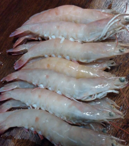 Key West Pink Shrimp U/15 Headless Shell/On 5lb Bag