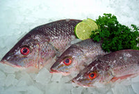 Snapper 8-10 oz Fillet