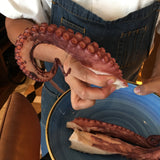 Octopus 3lb Tray.