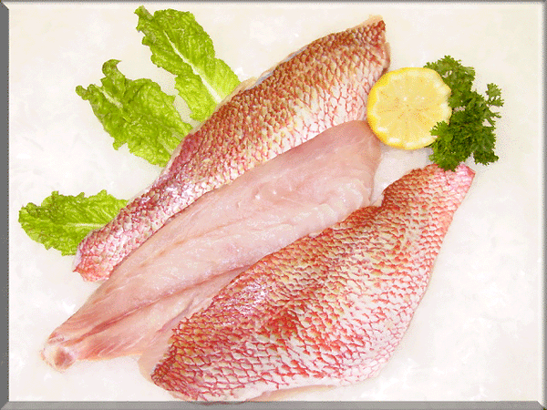 Snapper 8-10 oz Fillet