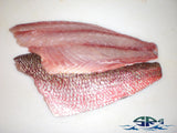 Snapper Fillet 10-12 oz